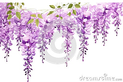 Plant floral background spring purple garden blooming blossom flowers nature violet blue wisteria Stock Photo