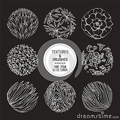 Botanical hand drawn textures, subtropical plants ornaments. Floral vector clipart collection isolated on black Vector Illustration