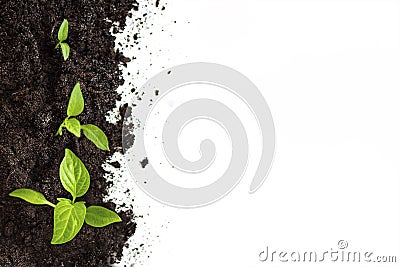 Plant Germination And Growth, concept green world earth day. The concept of environmental stewardship and World Environment Day Stock Photo