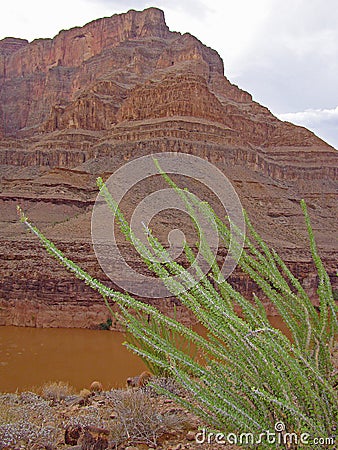 The Grand Canyon Stock Photo