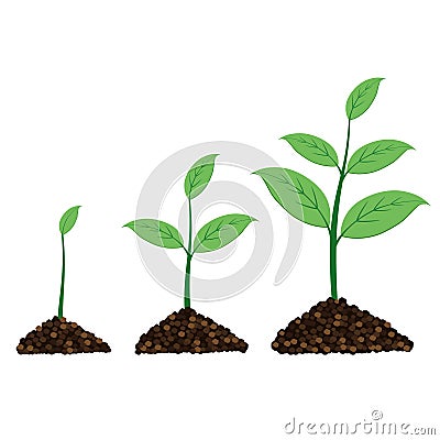 Plant grow up in a moment. Vector Illustration