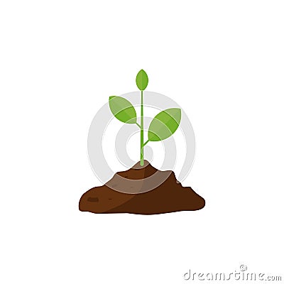 Plant growing in brown ground vector illustration isolated on white Vector Illustration