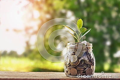 Plant growing on Coins glass jar and concept money saving Stock Photo