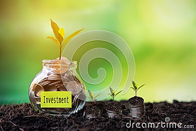 Plant growing in Coins glass jar on dry with investment paper label for money planning travel and retirement. Stock Photo