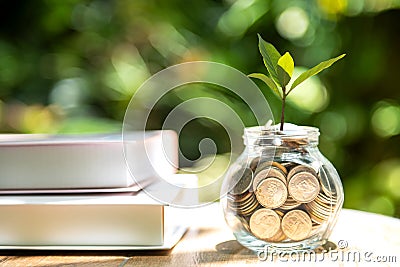 Plant growing in Coins glass jar for education together and success. Stock Photo