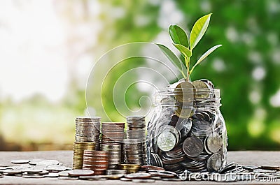 Plant growing Coins in glass jar with investment financial conc Stock Photo