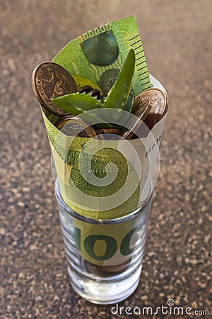 Plant growing from coins and one hundred euro banknote Stock Photo