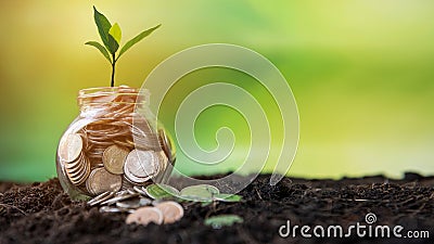 Plant growing in money Coins glass jar on dry with investment Stock Photo