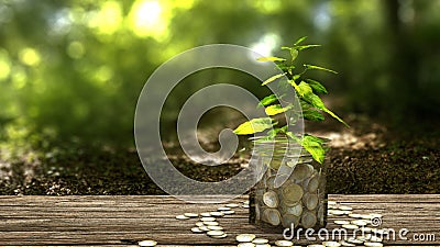 Plant growing from money jar. Stock Photo