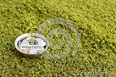 Plant growing out of algeria coins in silver bowl ,money saving for donations. Stock Photo