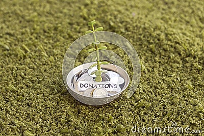 Plant growing out of algeria coins in silver bowl ,money saving for donations. Stock Photo