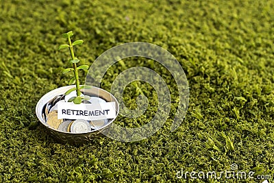 Plant growing out of algeria coins in silver bowl ,money saving for retirement. Stock Photo