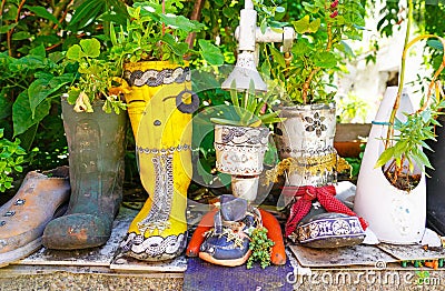 Plant growing in rubber boots in Amasra city, Turkey Stock Photo