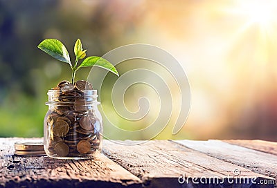 Plant Growing In Savings Coins Stock Photo