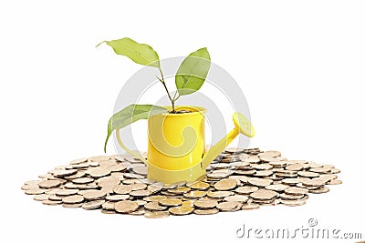 Plant grows from watering can. Idea of savings Stock Photo