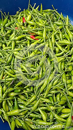 Plant hots vegetable for people smart Stock Photo