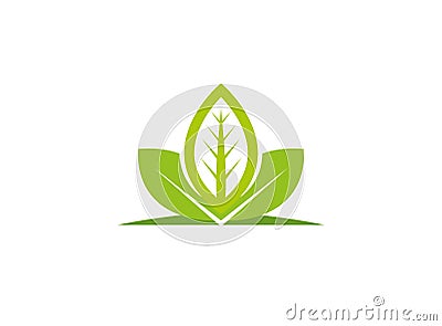 Leaves plant for logo design illustration, nature icon Cartoon Illustration