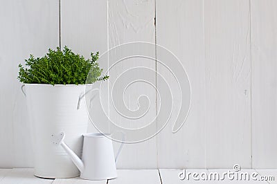 Plant in a metal pot and watering can Stock Photo