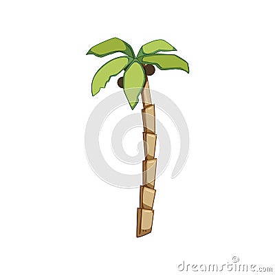 plant palm coconut cartoon vector illustration Vector Illustration