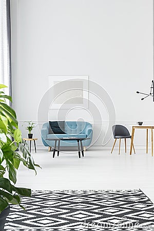 Plant and patterned rug Stock Photo