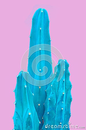 Tropical Blue minimal art design.Contemporary Art.Cactus Fashion Set. Trendy Pastel Colors. Sweet Summer Style. Stock Photo