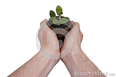 Plant, Planting, Garden, Gardening Grow Growing Stock Photo