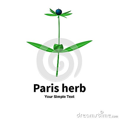Plant with poisonous berries Paris herb Vector Illustration