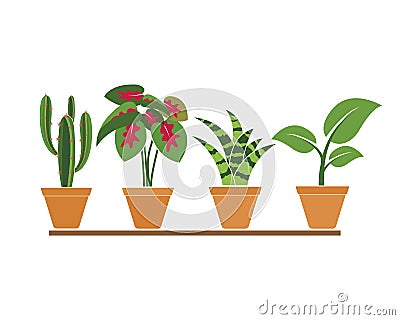 plant in pot icon logo vector illustration design Vector Illustration