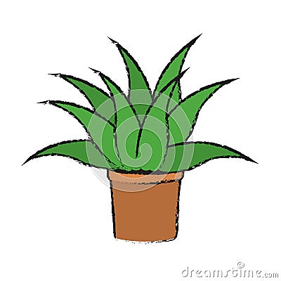 Plant in a pot Vector Illustration