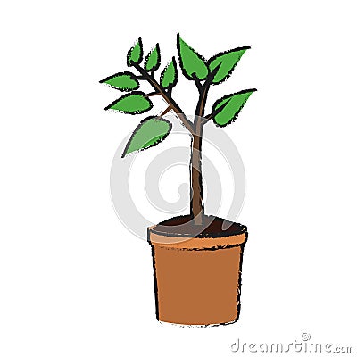 Plant in a pot Vector Illustration