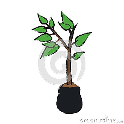 Plant in a pot Vector Illustration