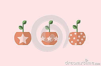 Plant in pots with stars. 3 different vectors, simple designs. Vector Illustration