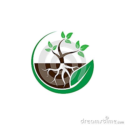 Plant with root in a circle leaf logo design concept Vector Illustration