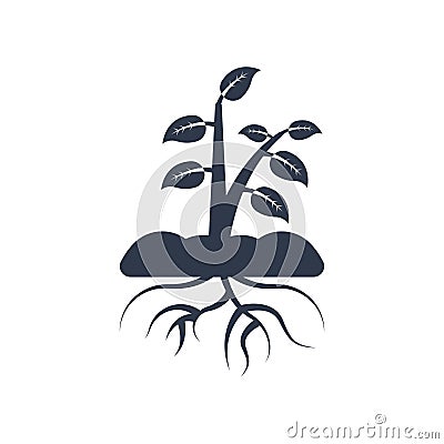 Plant and root icon vector sign and symbol isolated on white background, Plant and root logo concept Vector Illustration