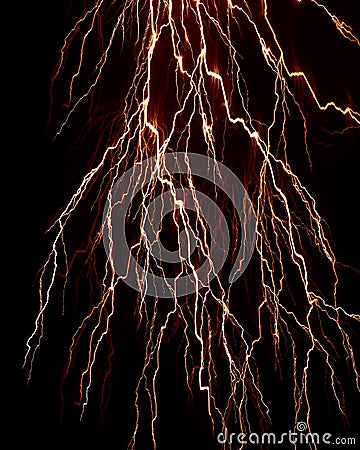 Plant roots Stock Photo