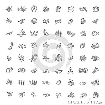 Plant seed and nuts vector icon set Vector Illustration