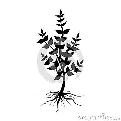 Plant silhouette with root. Tree vector icon. Nature background vector. Stock image Vector Illustration