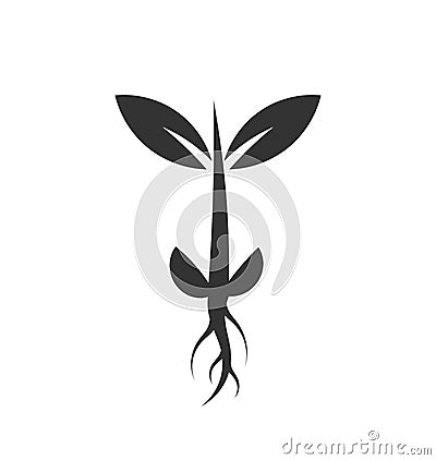 Plant sprout icon Vector Illustration