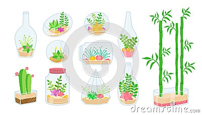 Plant succulent in glass aquarium flat set vector Vector Illustration