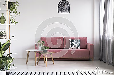 Plant on table in front of red couch in bright living room interior with lamp. Real photo Stock Photo