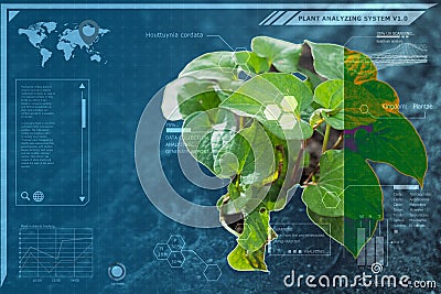 Plant technology botany identify computer system, graphic simulation for advance innovation platform for Precision Agriculture and Stock Photo