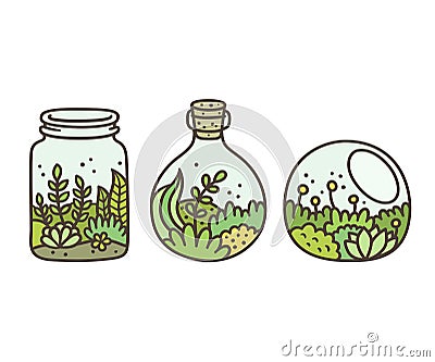 Plant in terrariums Vector Illustration