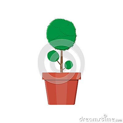 Plant tree in flower pot. Decoration home plant. Vector Illustration