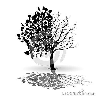 Plant tree silhouette Stock Photo