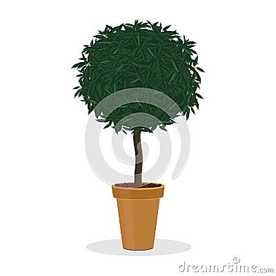 Plant trimmed into ball shape. Decorative tree. Vector Illustration