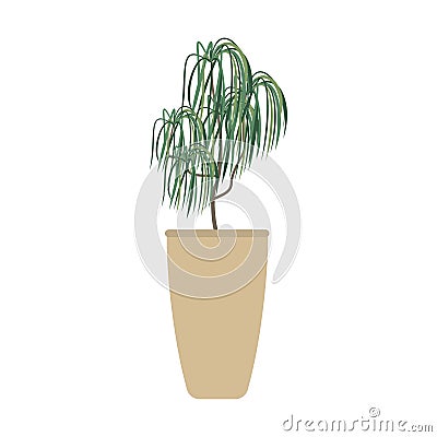 plant. Vector illustration decorative design Vector Illustration