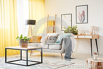 Plant in warm living room Stock Photo