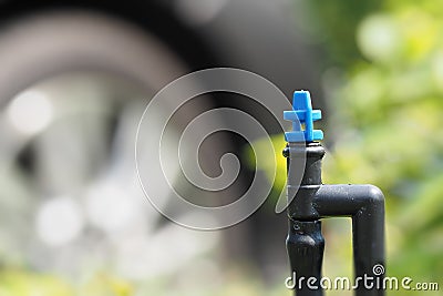 Plant watering micro sprayer sprinkler Stock Photo