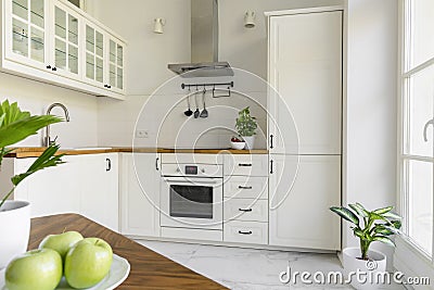 Plant in white minimal kitchen interior with silver cooker hood Stock Photo