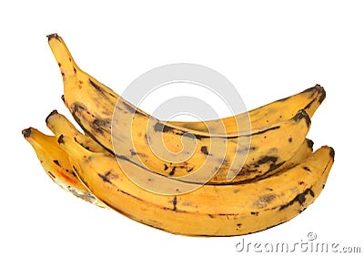 Plantain banana Stock Photo